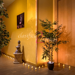 Samadhi , las mejores masajistas de zaragoza 